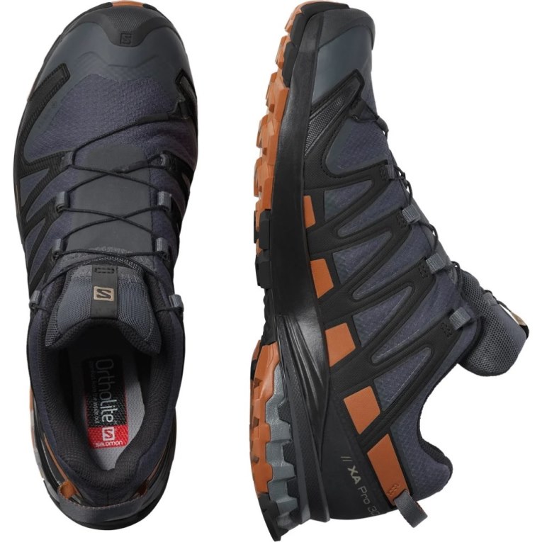 Tenis Para Trail Running Salomon Xa Pro 3d V8 GTX Hombre Azul Marino | MX PIRT246